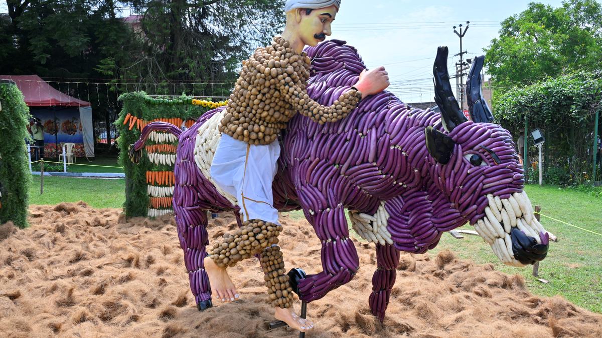 Summer festival season kicks off with inauguration of vegetable show in Kotagiri