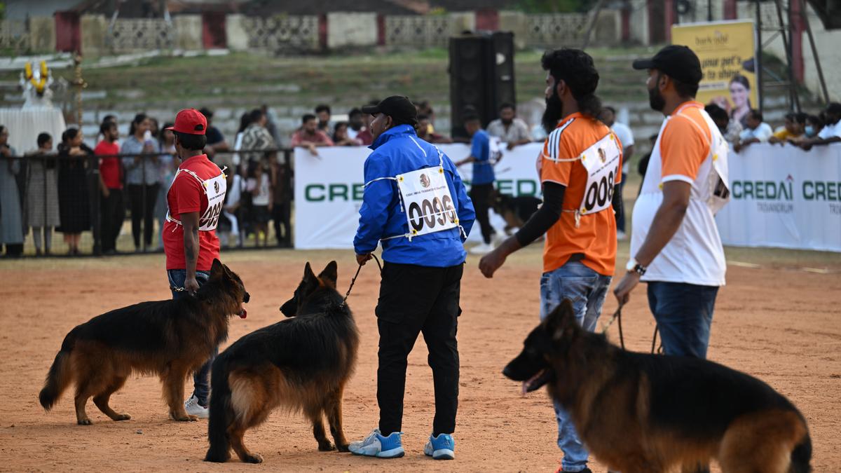 The first ever German Shepherd Speciality Show in Thiruvananthapuram showcases dogs from across the country