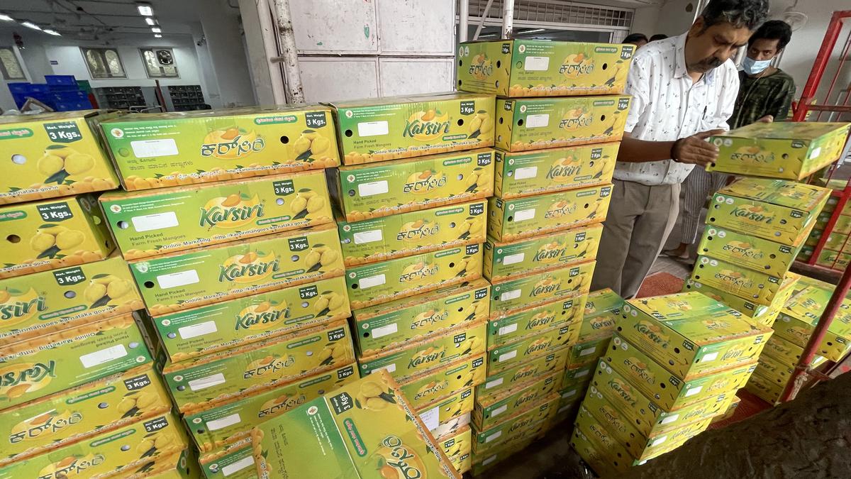 Postal Department home delivers 19 tonnes of mangoes from farmers