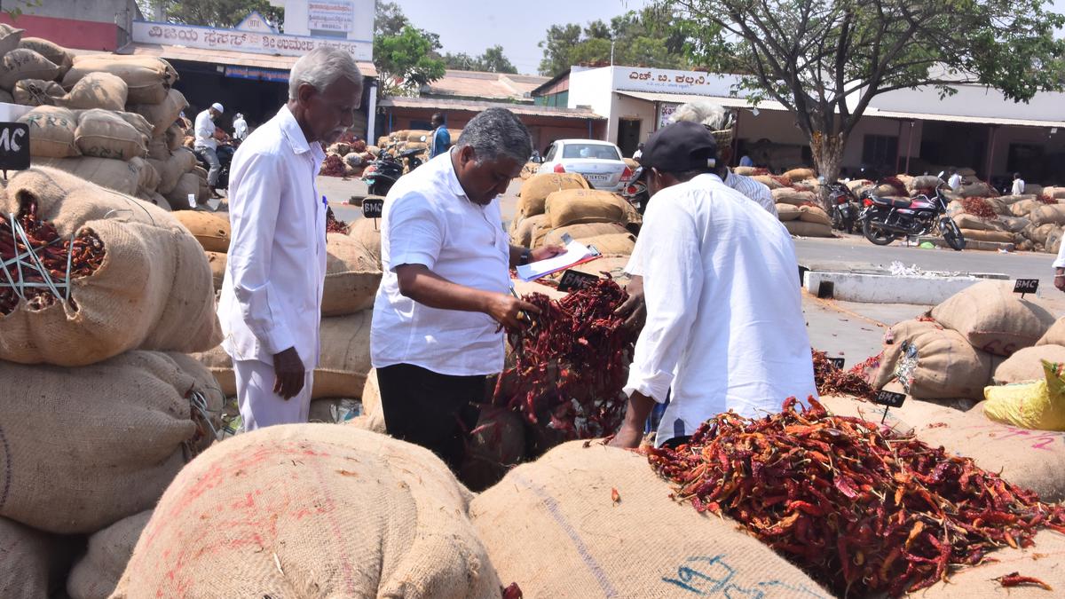 Chilli Auction Chaos: Byadgi Market Unrest