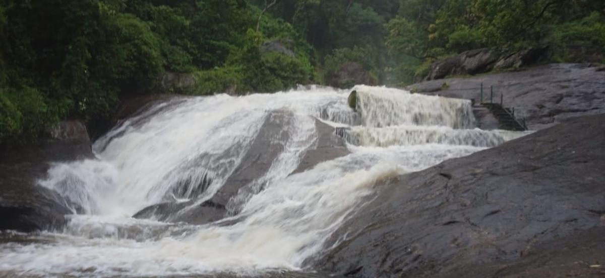 Kovai Courtallam closed to visitors due to increase in inflow