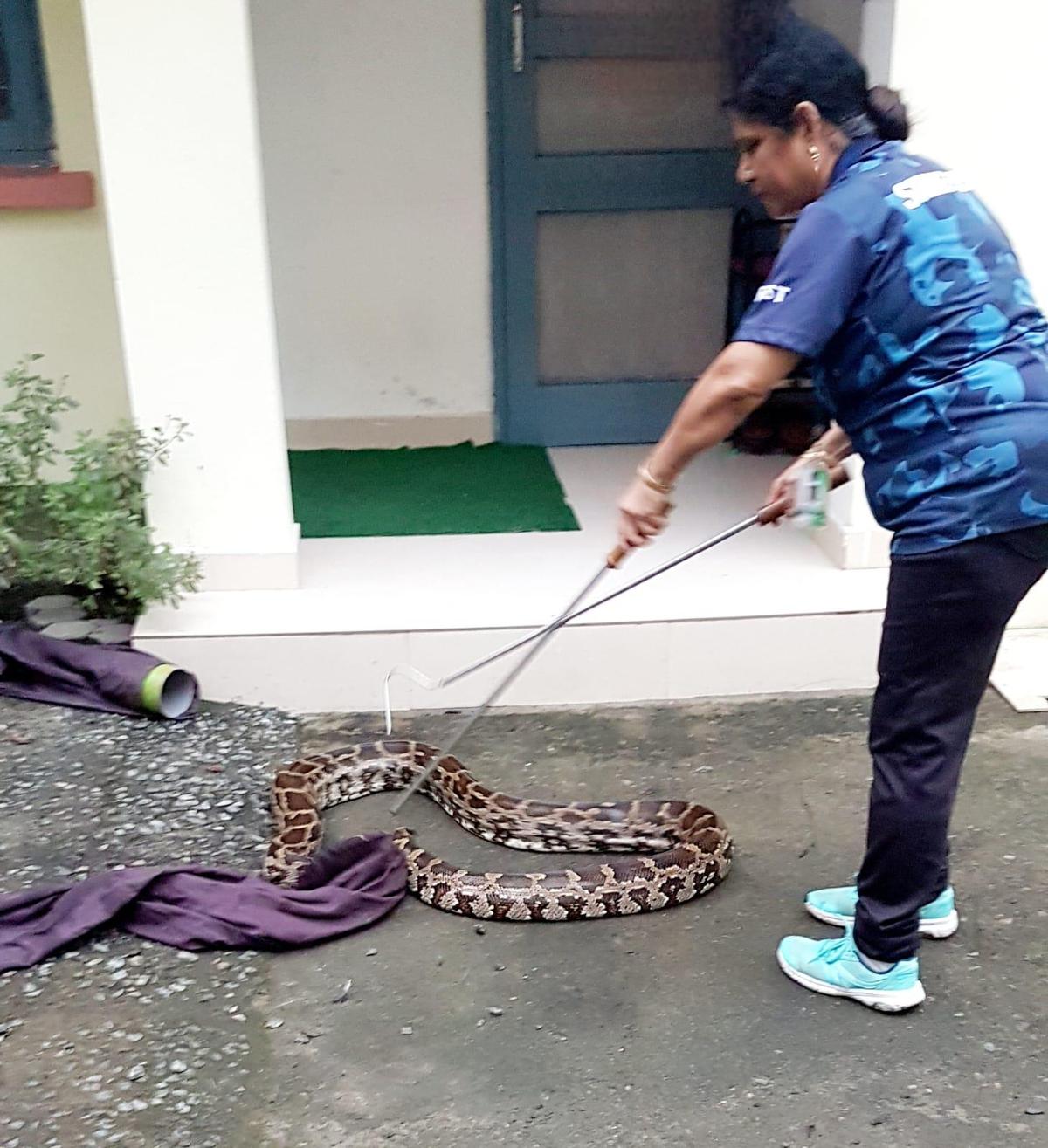 Vidya Raju salva un serpente