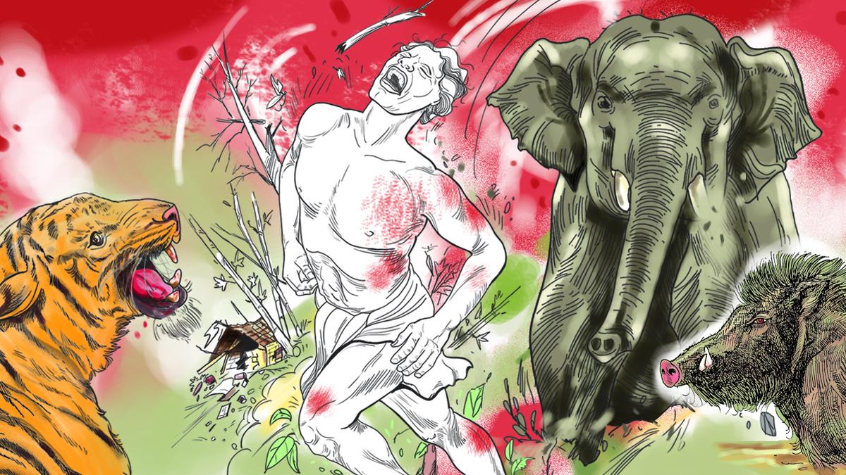 Kerala struggles with human-wildlife conflicts and fatal losses