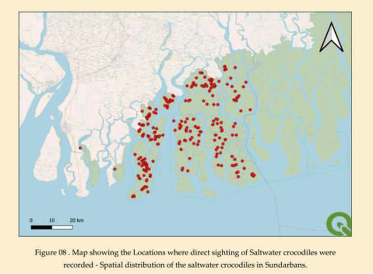 Photo Credit: Departments of Forests, Government of West Bengal