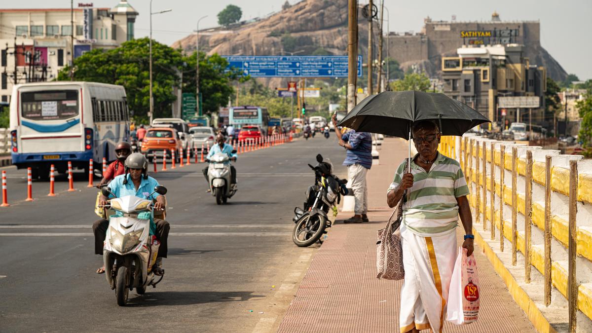 Tiruchi Corporation prepares to tackle heat stress caused by searing summer
