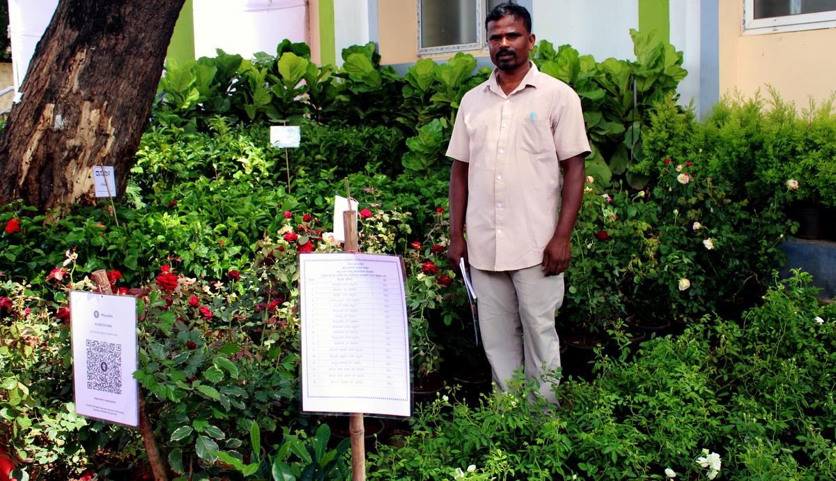 In all, over 3.5 lakh saplings produced in departmental nurseries were sold.