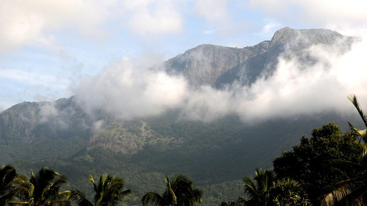 A Break In The Western Ghats - The Hindu