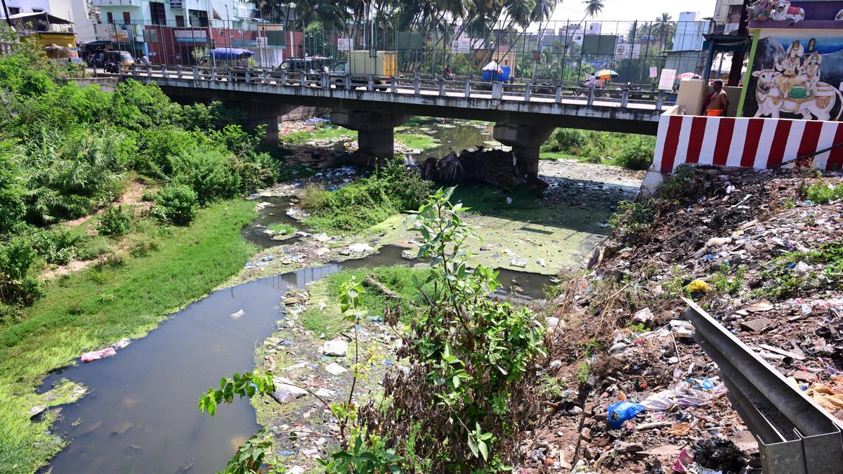 Tamil Nadu election 2026: Periyakulam constituency has potential to change into a ‘centre of excellence’ in agri sector