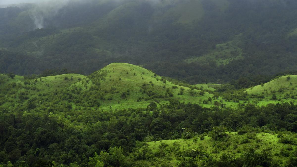 Kerala Assembly: Extent of ecologically sensitive areas in State likely to be further reduced, says Minister