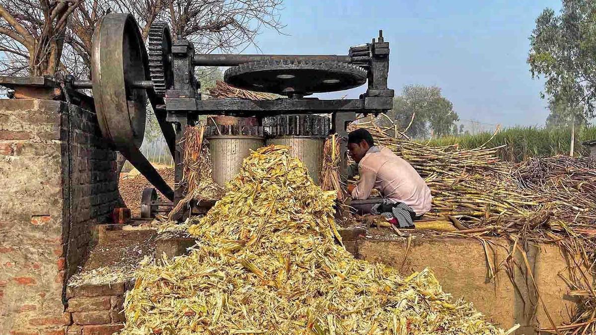 CSIR-IICT scientists demonstrate green biofuel route from sugarcane waste