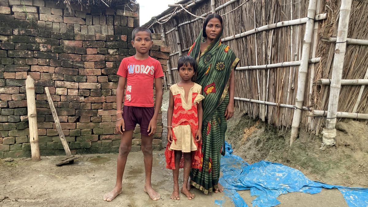 How delayed healthcare harms snakebite victims in North Bihar