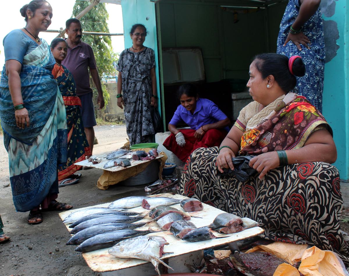40 years in a transit camp - The Hindu