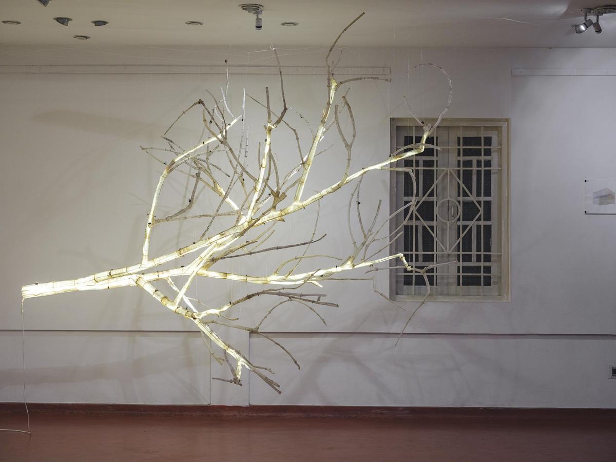 याद रखने की वास्तुकला में एक मृत उद्यान की शारीरिक रचना याद रखने की वास्तुकला में एक मृत उद्यान की शारीरिक रचना