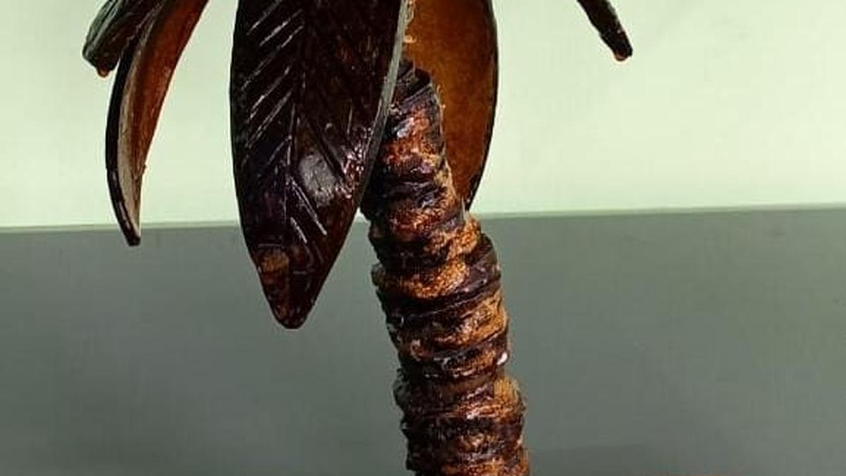 South Canara Coconut Farmers’ Producer Company Ltd. to release bio-fertiliser made from coconut water, and other products on November 16