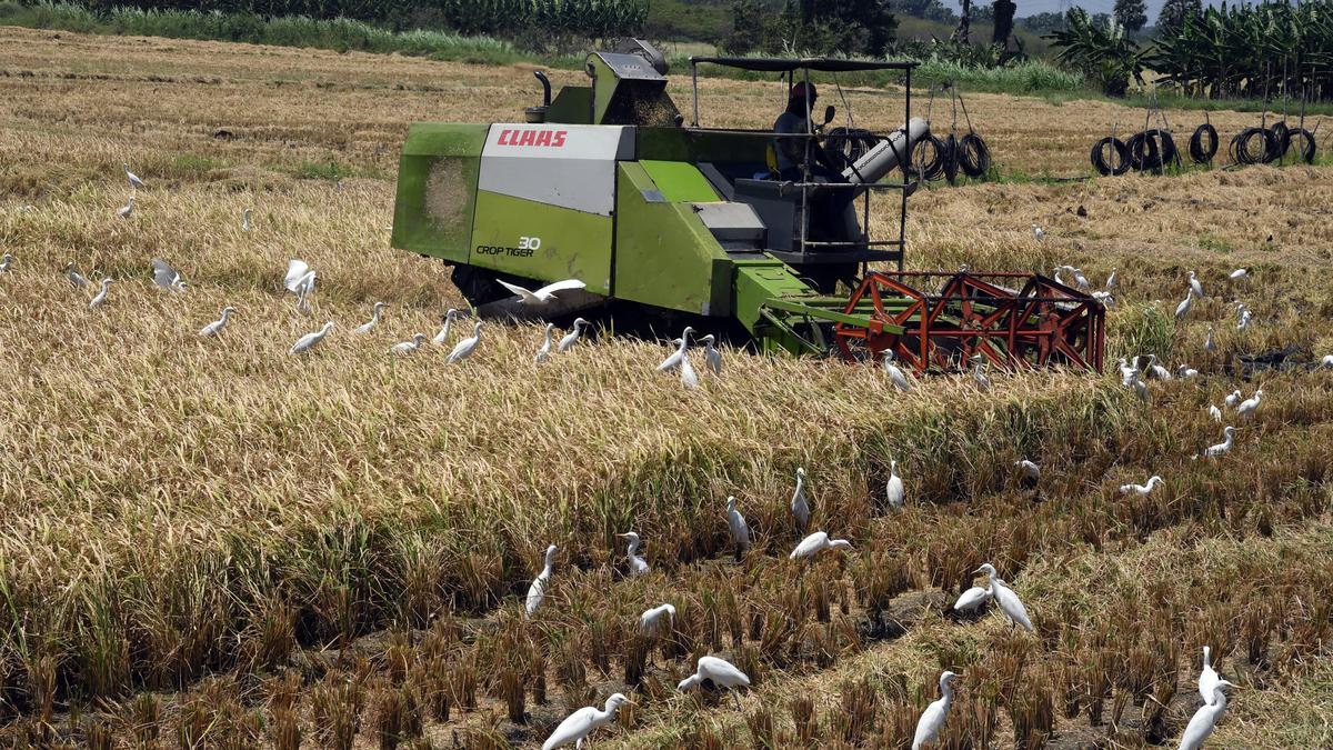 Farmers complain of shortage of harvesters, claim officials have not made arrangements