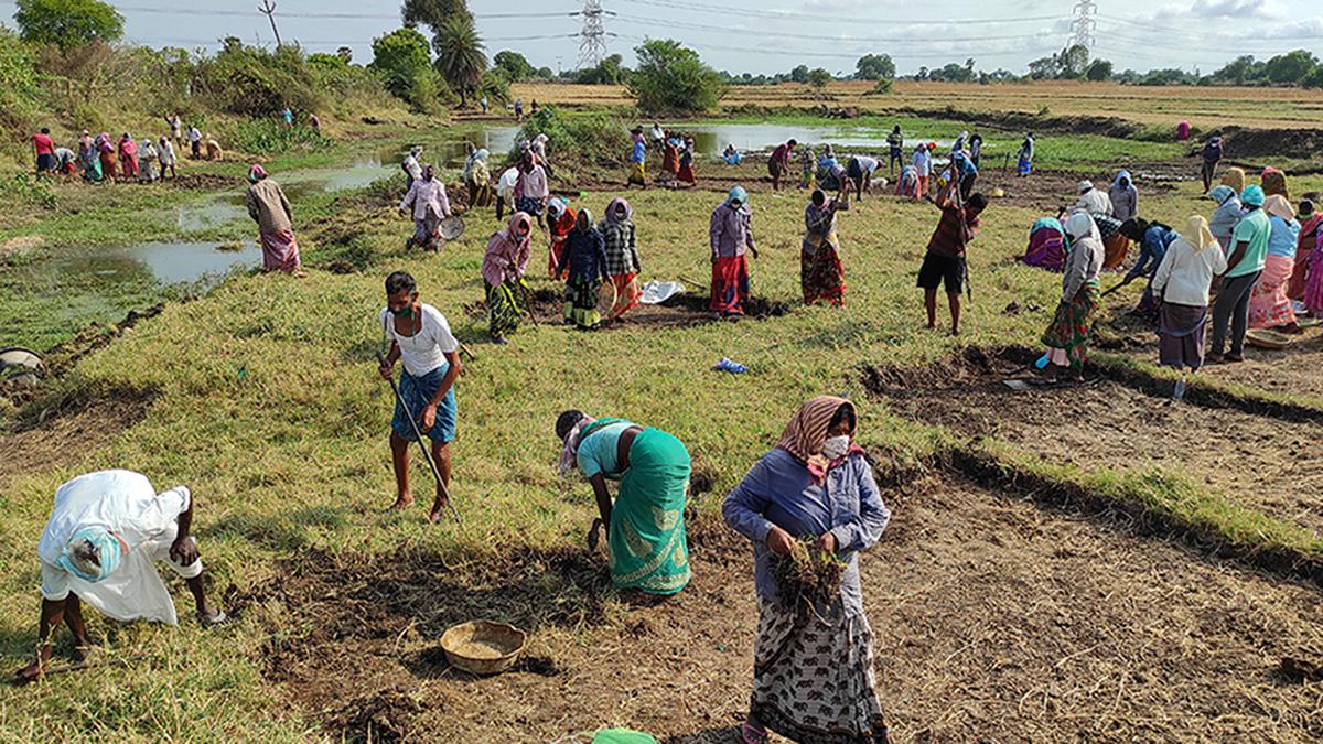 Centre rules out extension of MGNREGA to agricultural activities