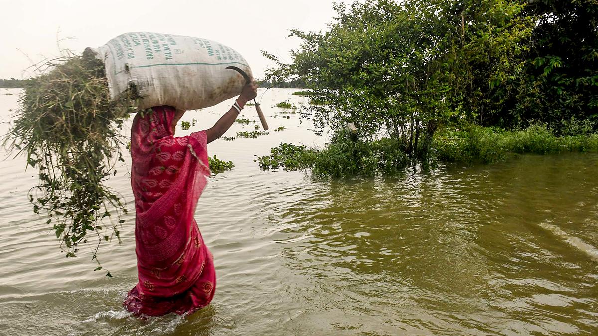 Assam floods: 24 lakh hit by Assam floods, two killed in landslide