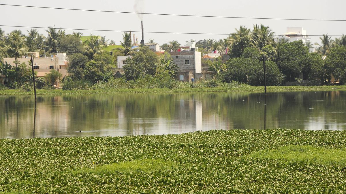 NGT orders Tambaram Corporation to clean Veeraraghavan lake within six months