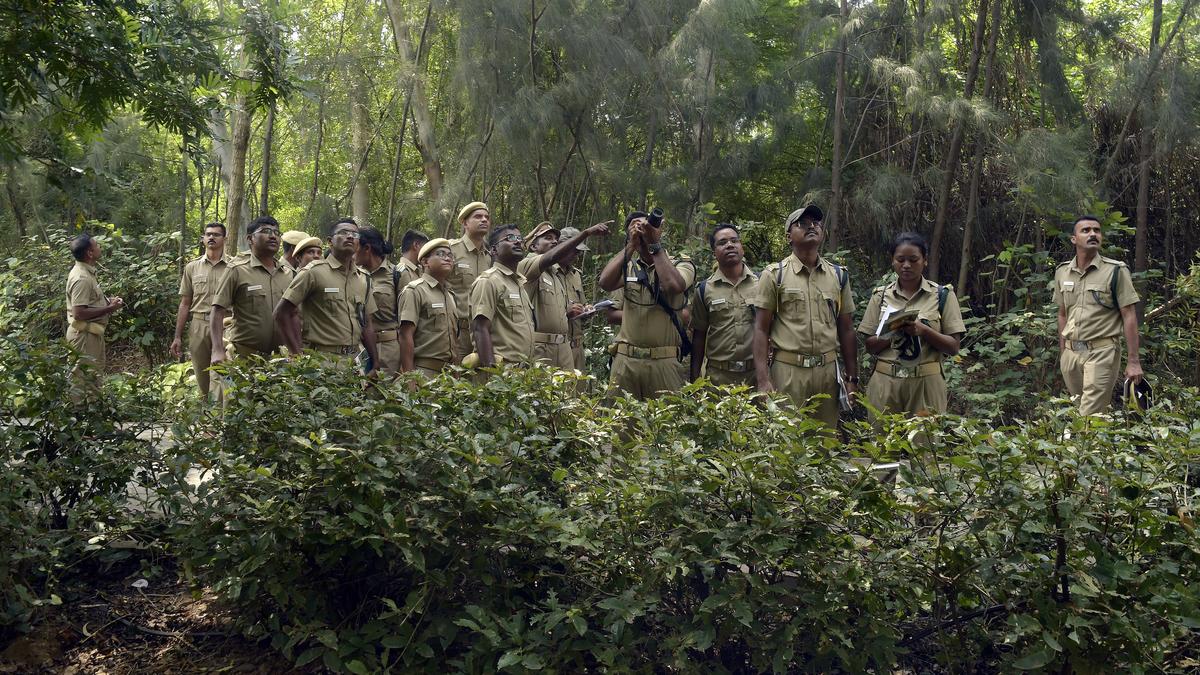 Selection policy for Forest Rangers ‘skewed’ in Tamil Nadu, aspirants call for amendment