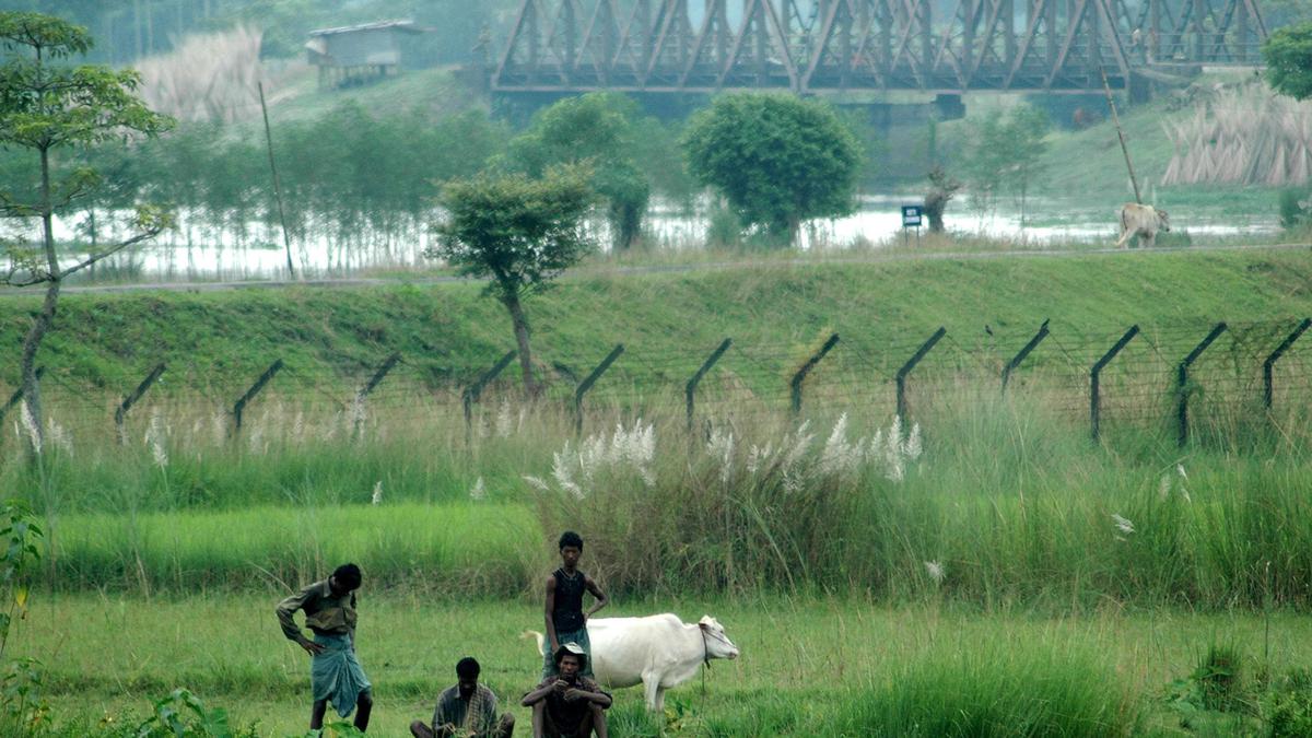 Citizenship Act hearing | Government needs latitude to make peace, says CJI