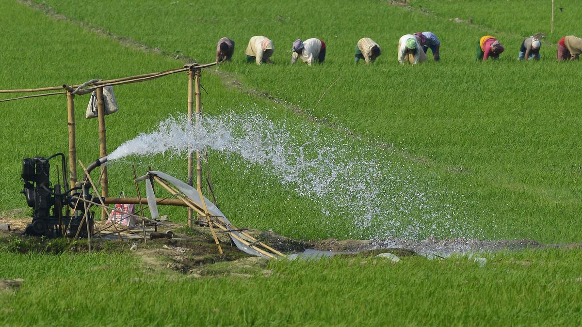 Ban on drawing river water for agriculture using pumpsets in Mysuru district