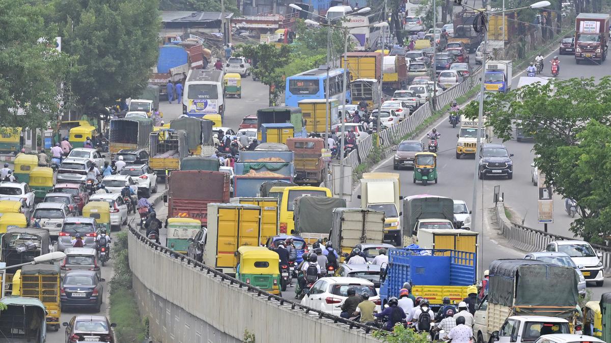 “Free bus rides for women are admirable; building more overpasses is a crime”