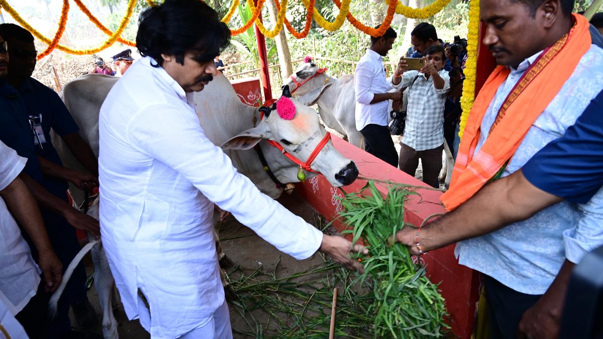 Tirupati Stampede: Deputy CM Demands Apology