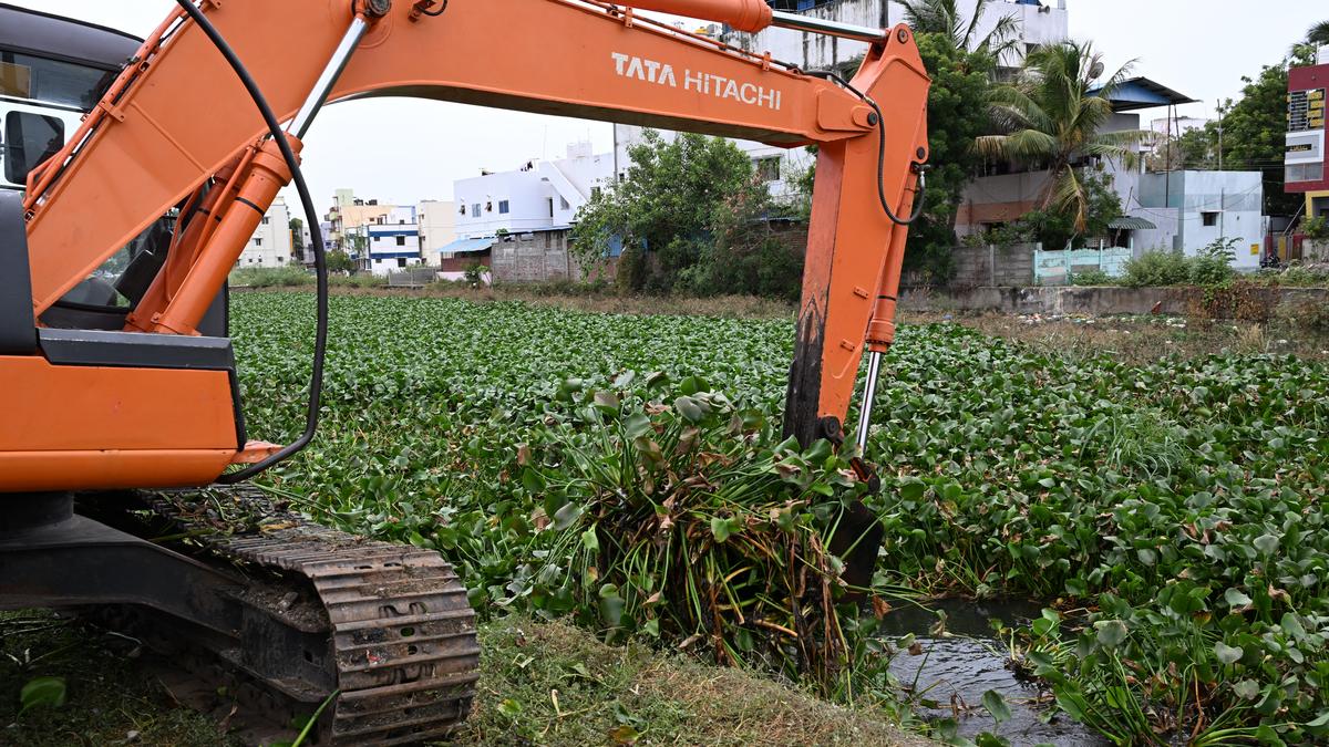 WRD begins clearing water hyacinth from Uyyakondan canal in Tiruchi