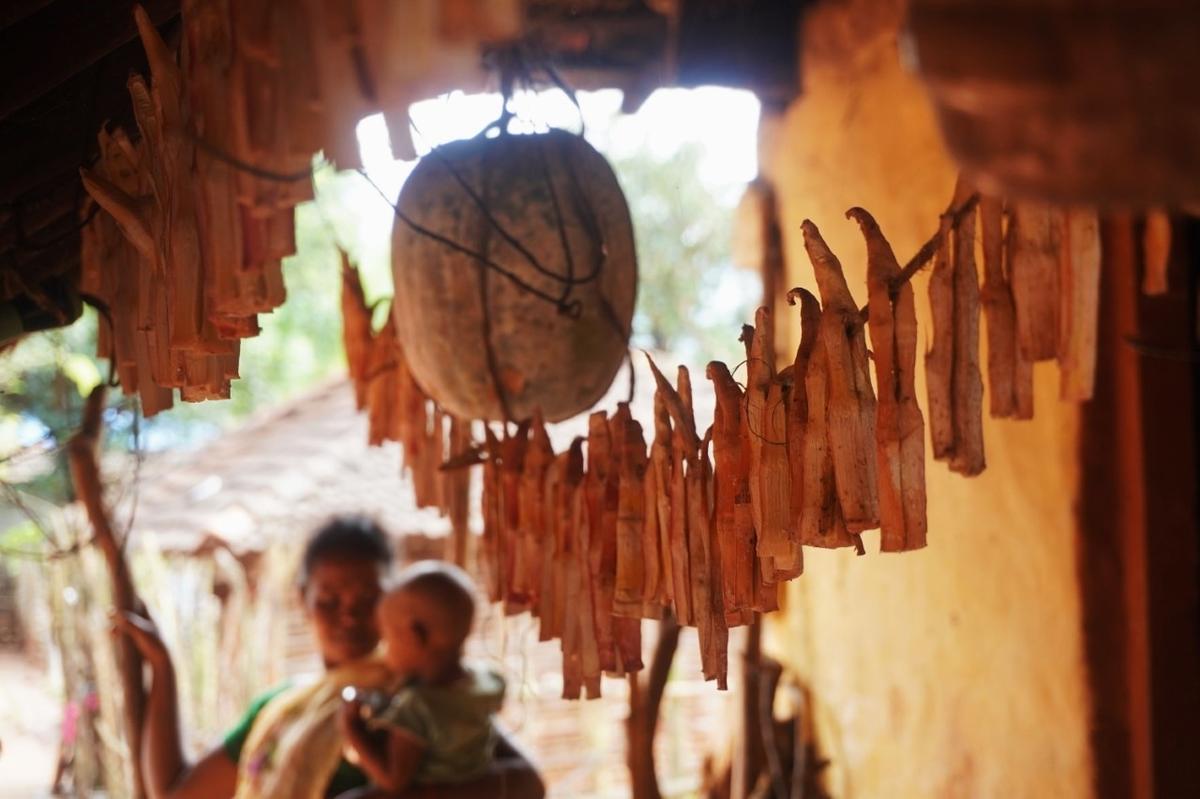 Bamboo shoots hung to dry in the verandah of a Konda Reddi household in Dumpavalasa.