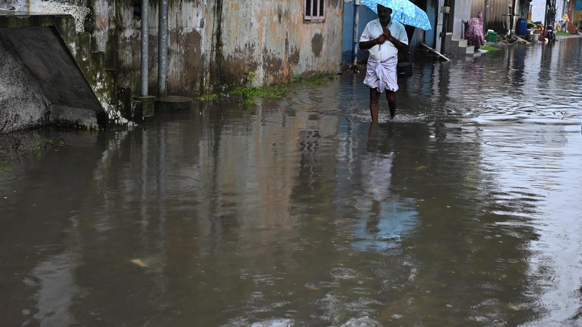 Chennai may get light to moderate rain on Friday as remnant of Cyclone Ditwah fades
