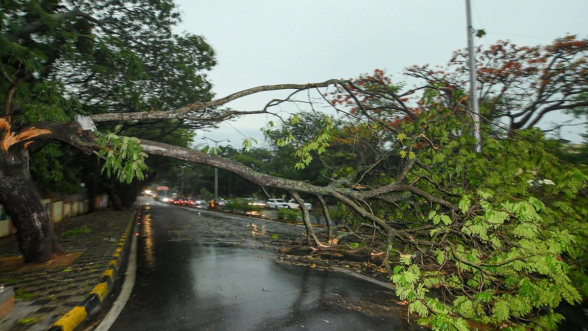 Nearly 200 electricity poles uprooted or damaged in Mysuru during rains on May 3