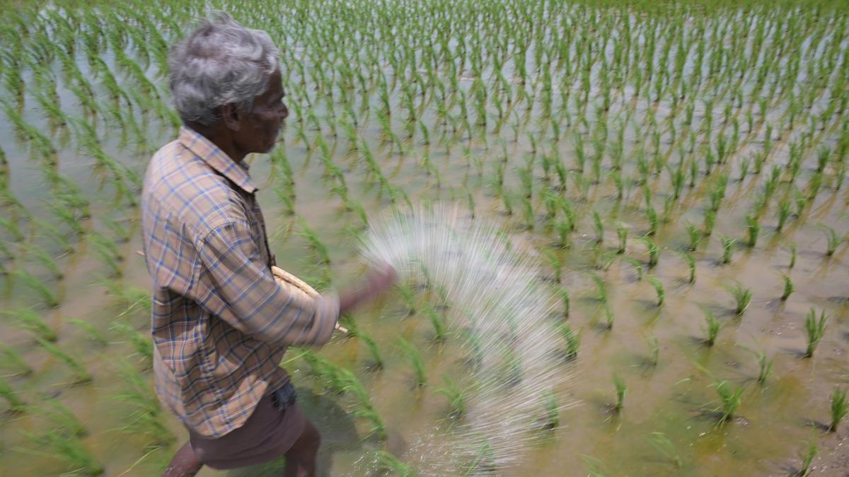 Paddy farmers to stage hunger strike in Kerala