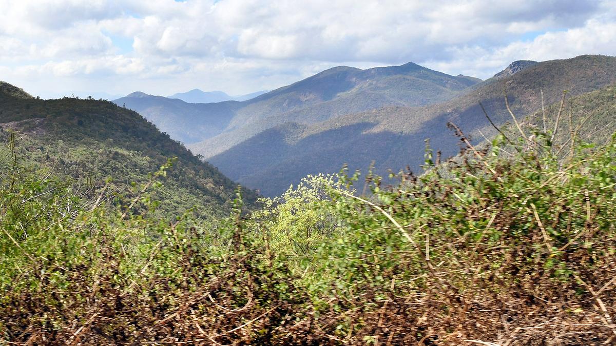 Union Ministry flags lapses by Karnataka Forest Dept. in CA land identification