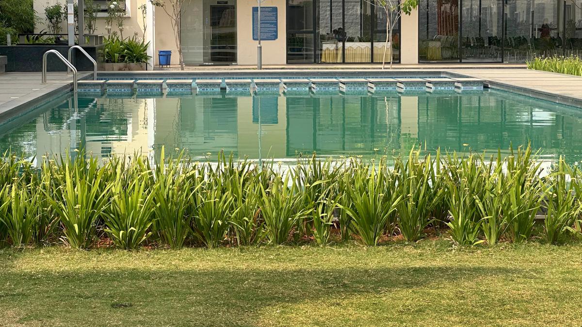 View of Water Services Department | City of Phoenix