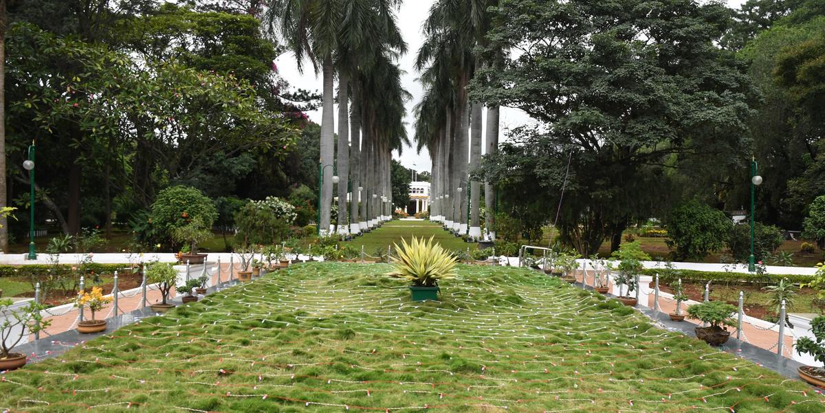 An avenue in the Raj Bhavan in Bengaluru.