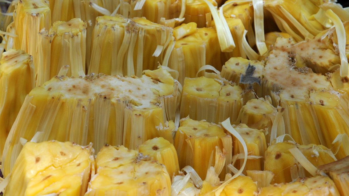 Jackfruit mela is back in Mysuru city