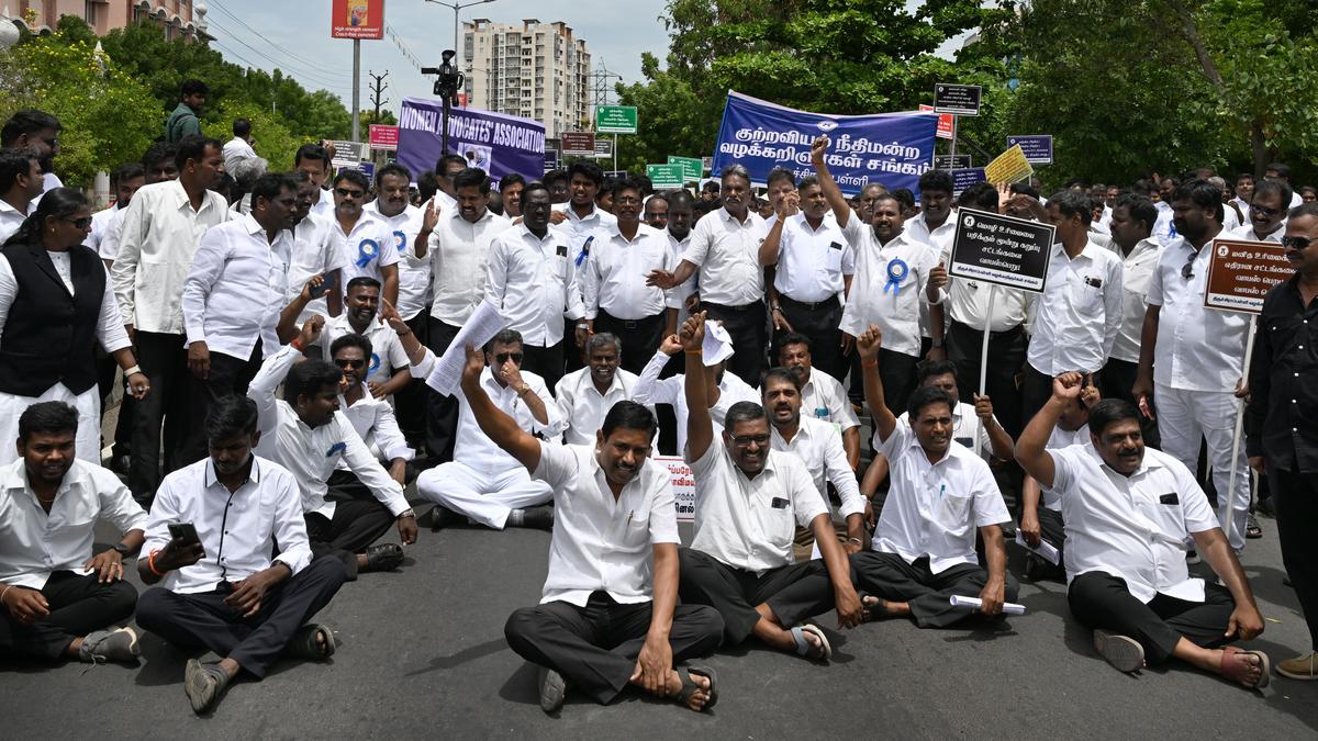 Lawyers take out rally in Tiruchi against new criminal laws