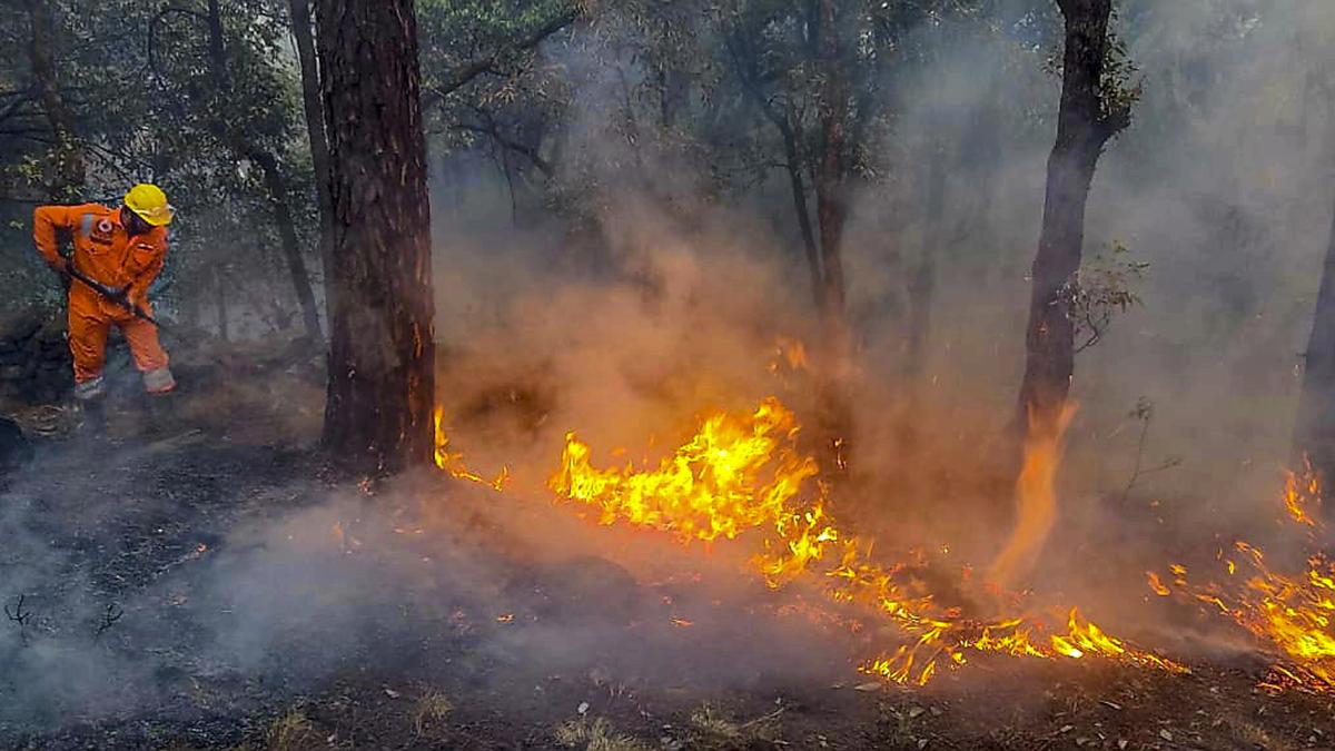 Uttarakhand Forest Fires: SC slams Uttarakhand’s approach in controlling forest fires, summons State’s Chief Secretary