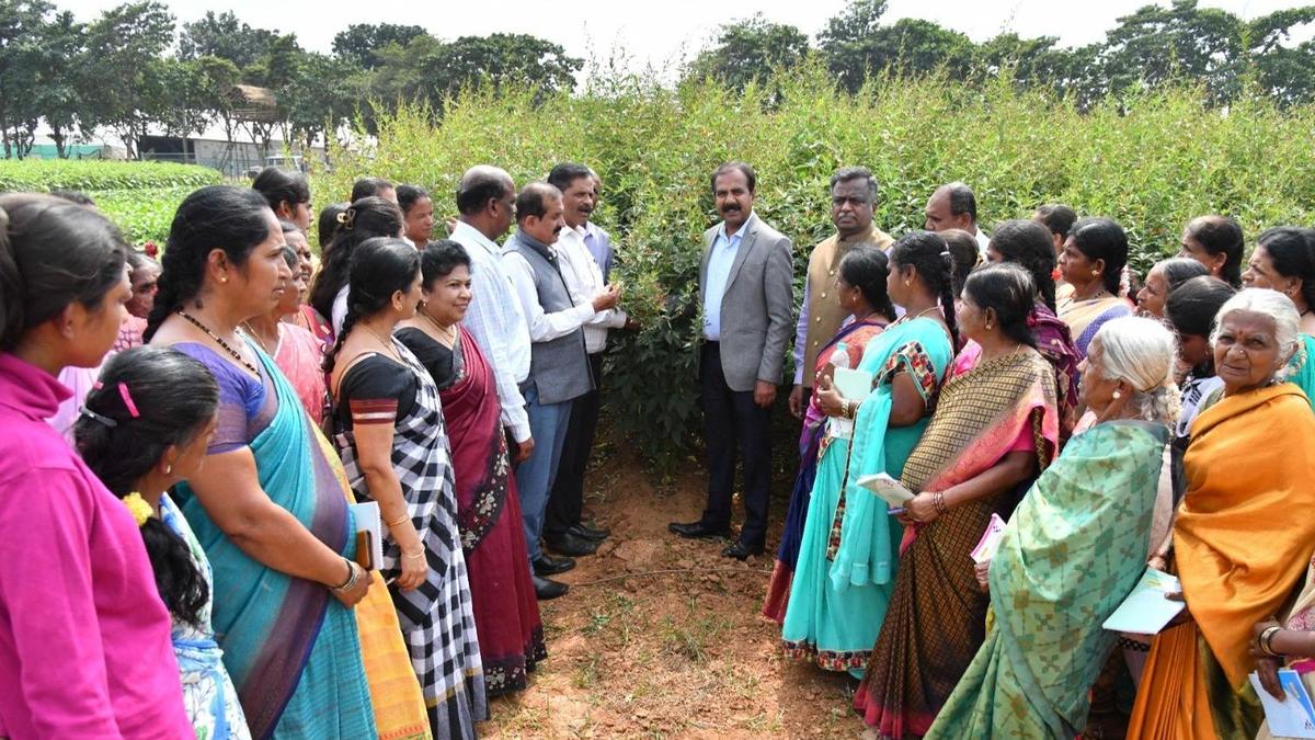 UAS-B to conduct Krishi Mela in Bengaluru from November 13 to 16 - The Hindu