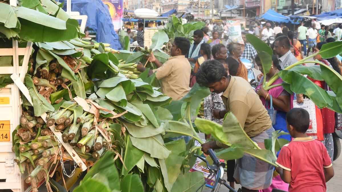 Flower markets in Thoothukudi bloom with surging prices ahead of Ayudha Puja