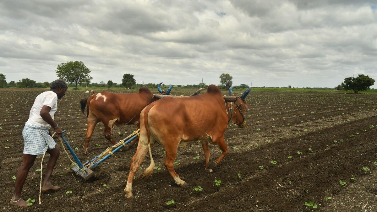 President Murmu to inaugurate global meet to discuss future of farmers rights on September 12