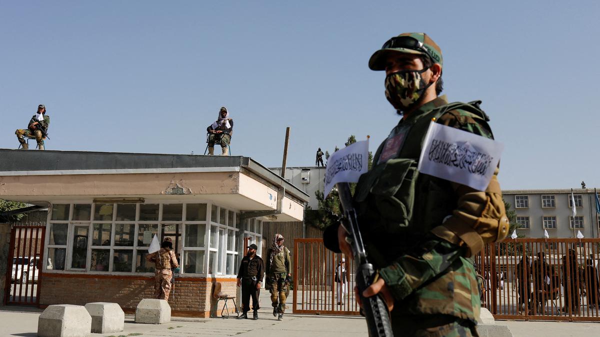 Taliban benefiting from international aid through ‘fraudulent’ NGOs, says U.S. watchdog