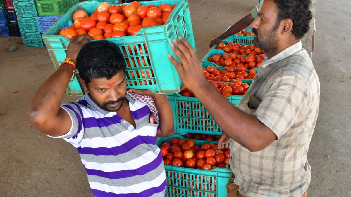 Rayakottai tomato mandi see shortage of supply; traders bid at ₹78 per kg