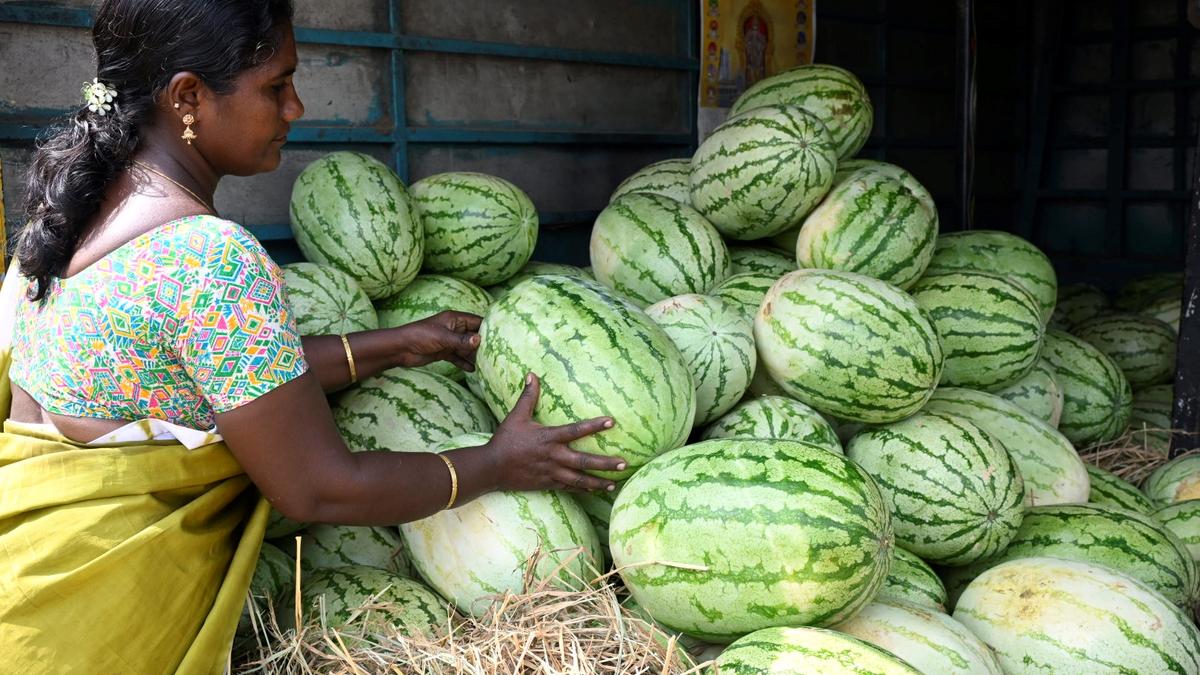 People turn to fruits and juices to combat scorching heat in Erode