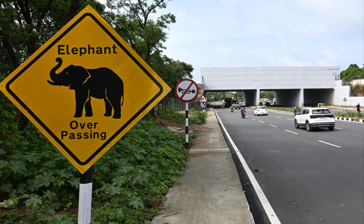 Watch: Now, an overpass for elephants in Karnataka