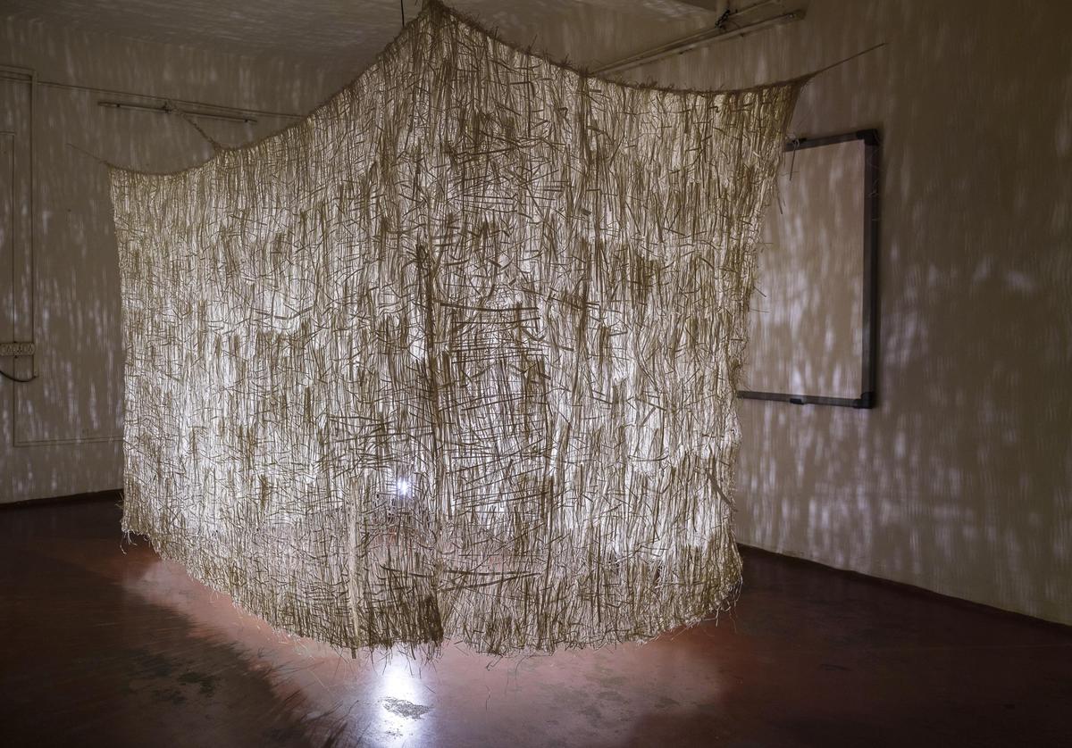 आर्किटेक्चर ऑफ़ रिमेम्बरिंग में एक शहरी प्लोसिडे का घोंसला आर्किटेक्चर ऑफ़ रिमेम्बरिंग में एक शहरी प्लोसिडे का घोंसला