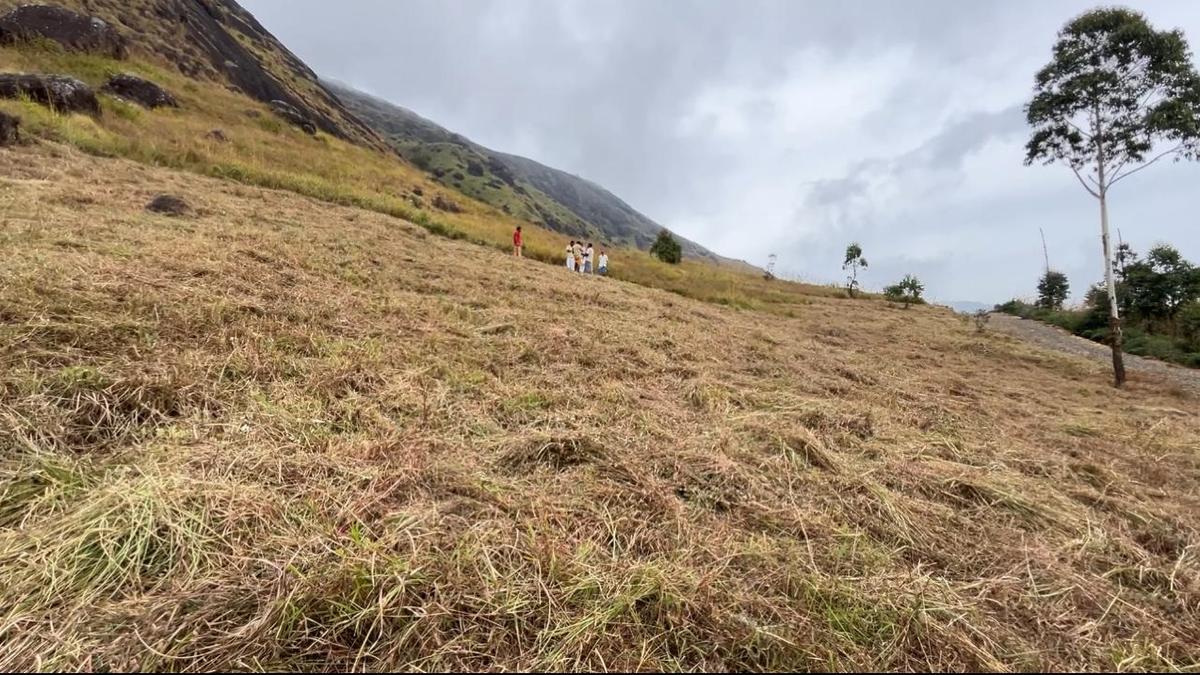 Another encroachment attempt reported on Chokramudi hills