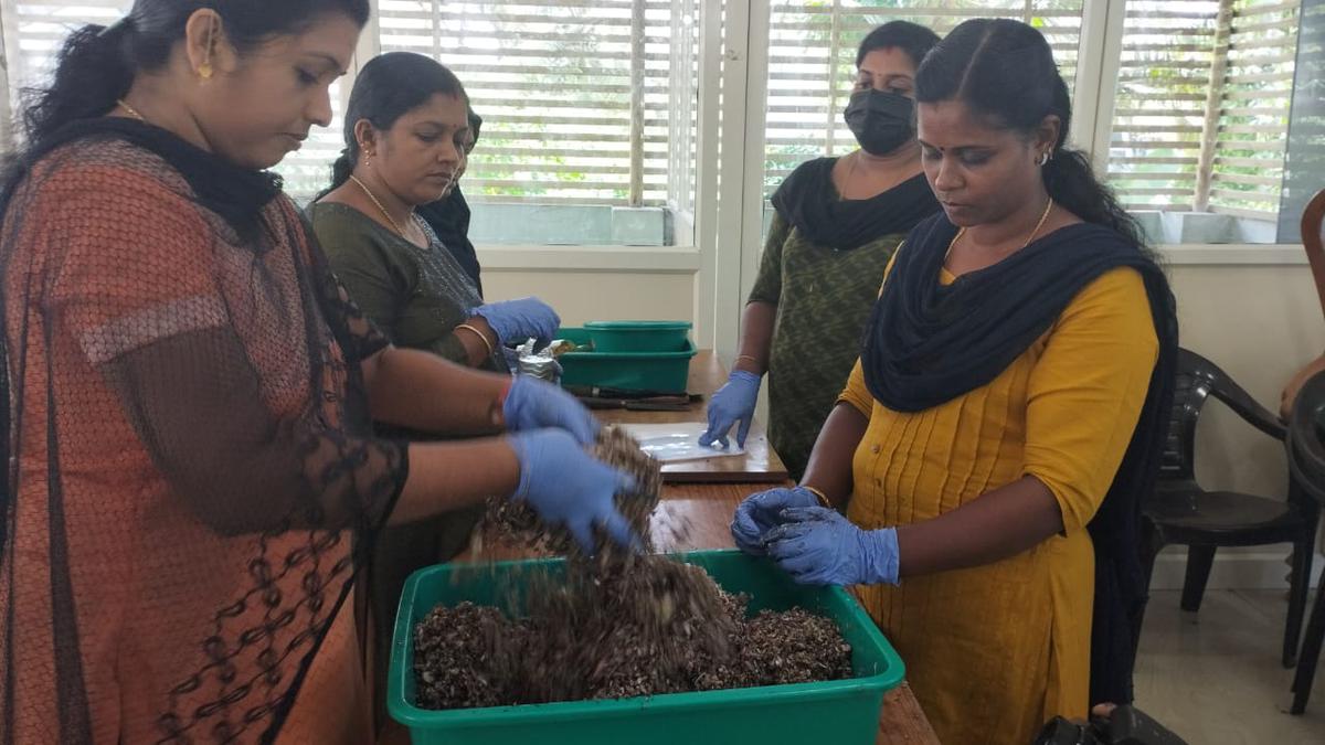 How farming collectives in Thiruvananthapuram are reaping success