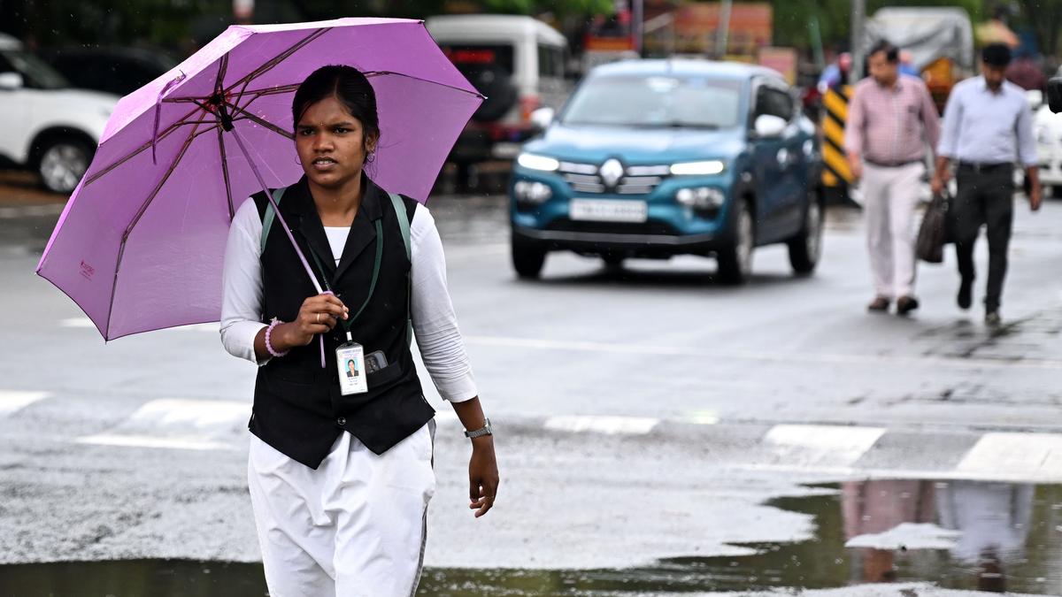 Moderate rainfall in most parts of delta