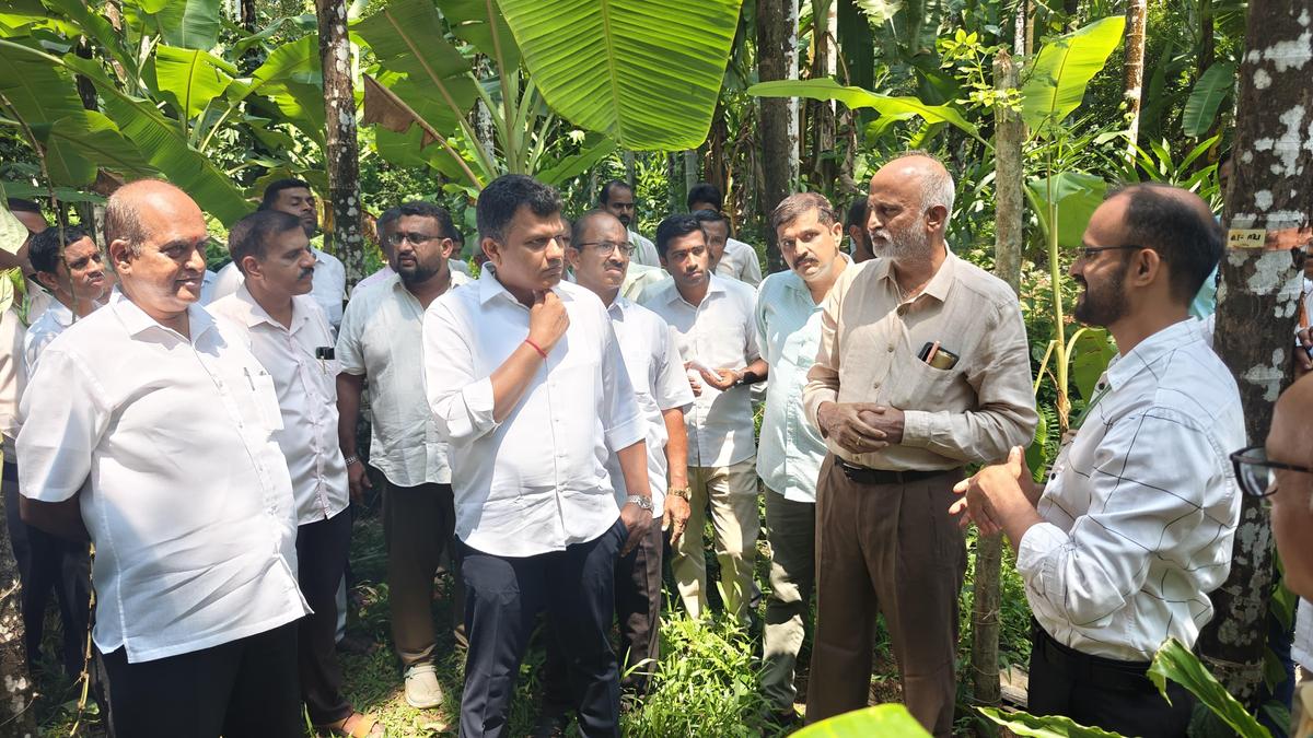 Capt. Chowta appreciates CPCRI’s nutritional and scientific method-based approach to contain leaf spot disease